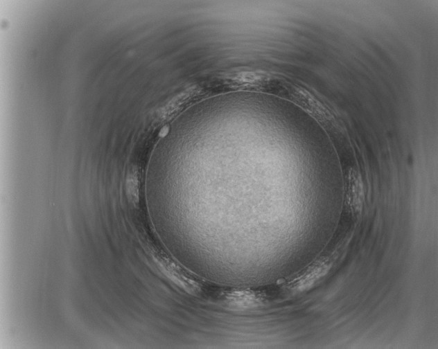 X0000085250562200703231653