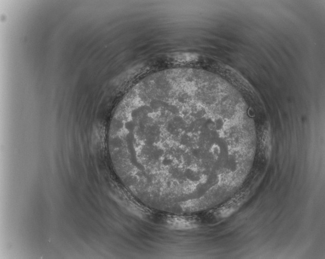 X0000085250565200703231653