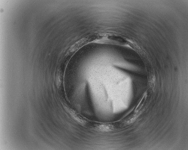 X0000085250566200703231653