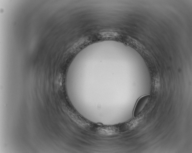 X0000085250567200703231653