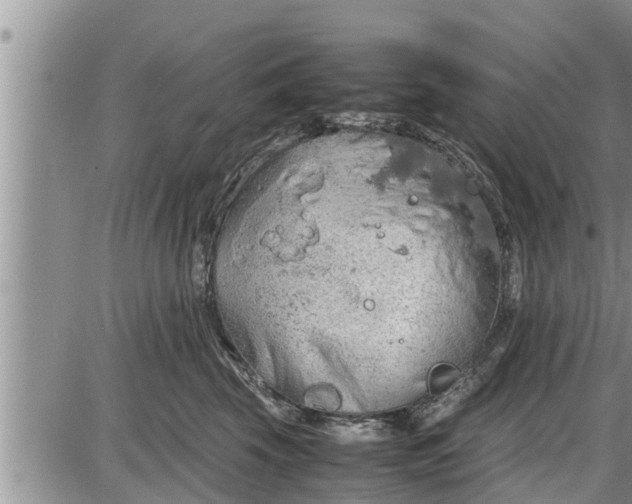 X0000085250569200703231653