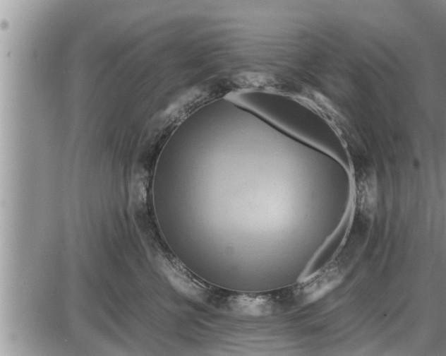 X0000085250570200703231653