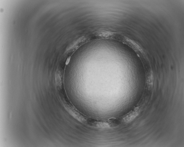 X0000085250572200703231653