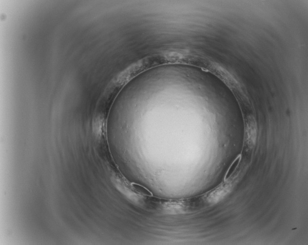 X0000085250574200703231653