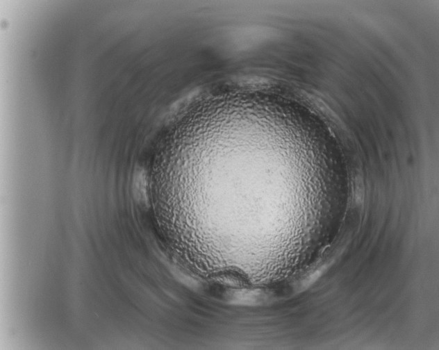 X0000085250575200703231653