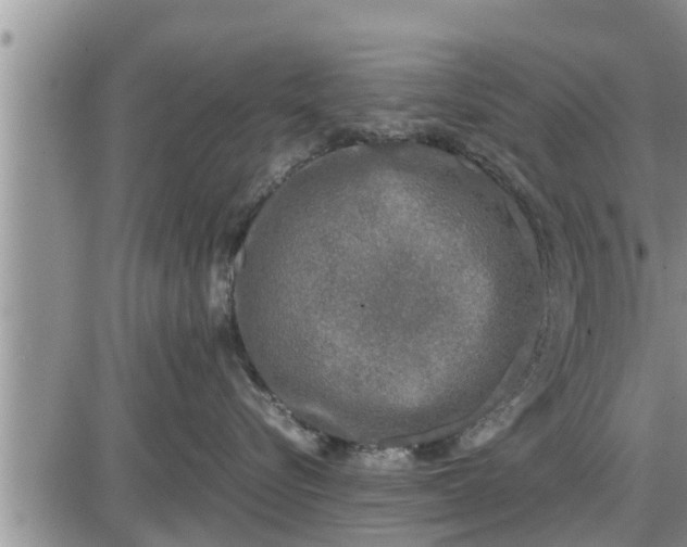 X0000085250576200703231653