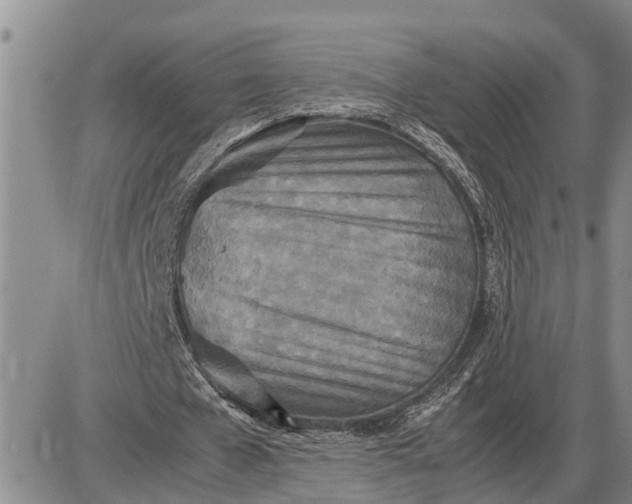 X0000085250577200703231652