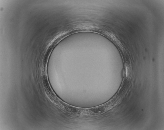 X0000085250579200703231652