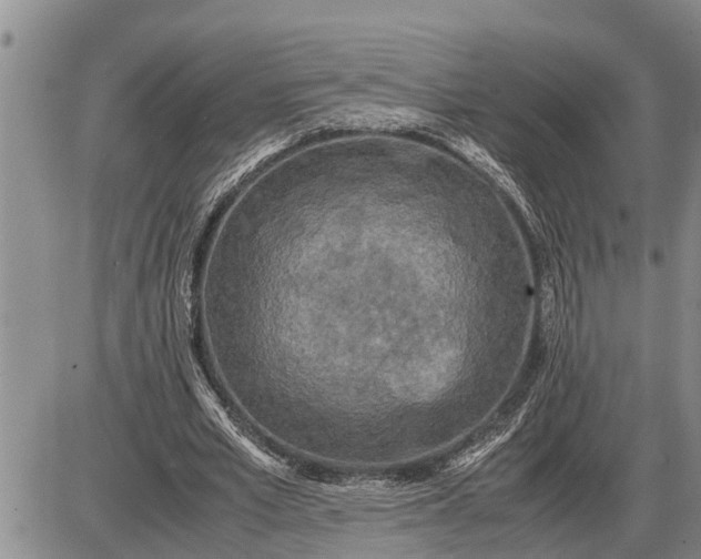 X0000085250581200703231652