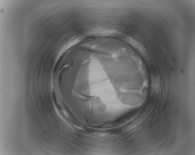 X0000085250582200703231652