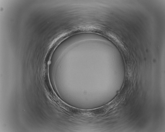 X0000085250583200703231652