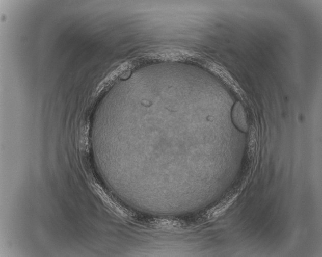 X0000085250585200703231652