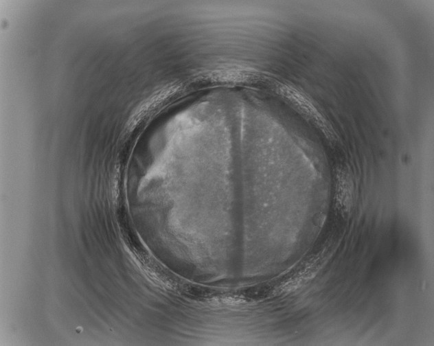 X0000085250586200703231652