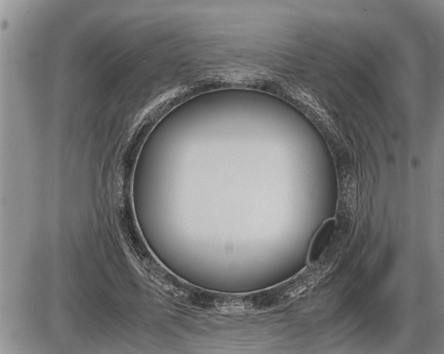 X0000085250587200703231652