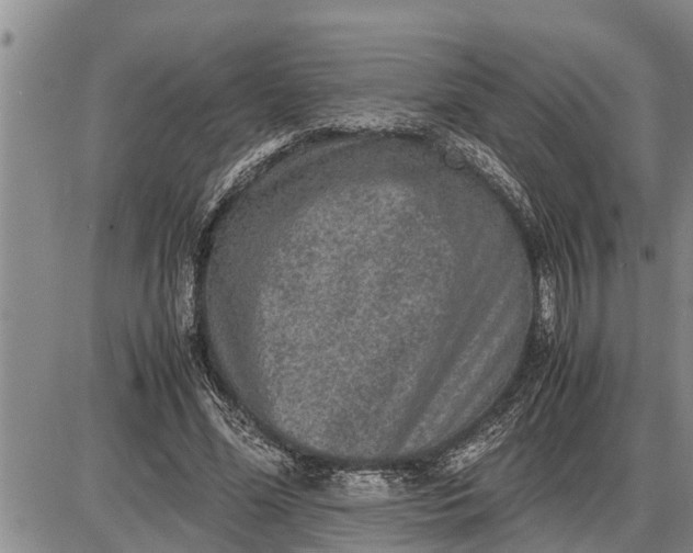 X0000085250588200703231652