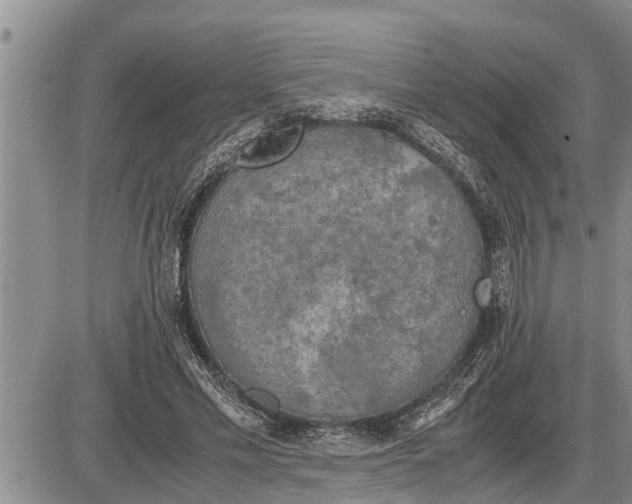 X0000085250589200703231652