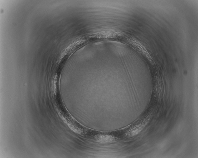 X0000085250590200703231652