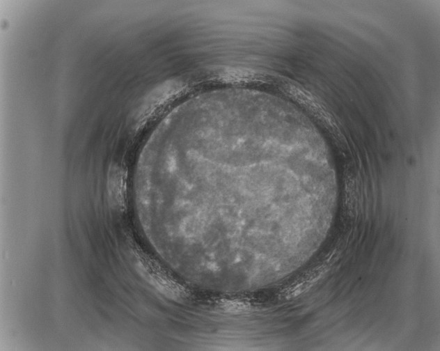 X0000085250592200703231652