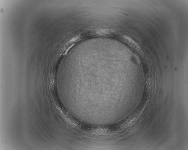 X0000085250593200703231652