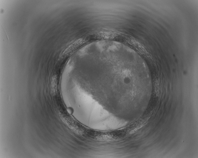 X0000085250594200703231652