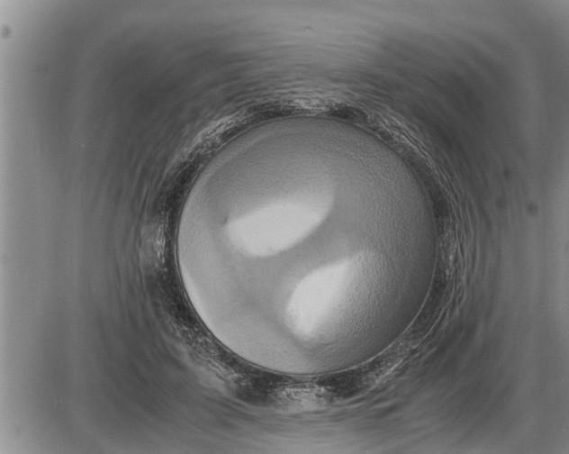 X0000085250595200703231652