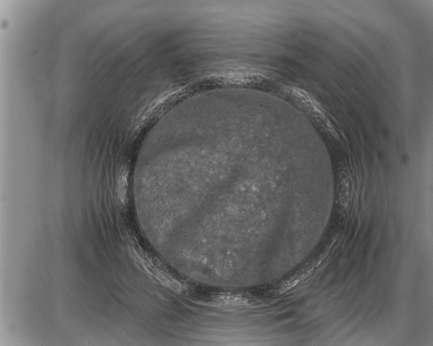 X0000085250596200703231652