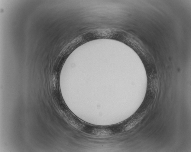 X0000085250597200703231652