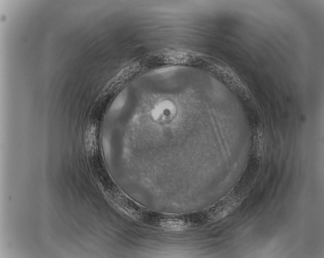 X0000085250598200703231652