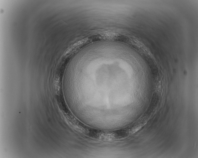 X0000085250599200703231652