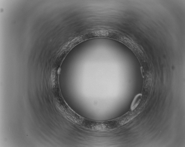 X0000085250600200703231652