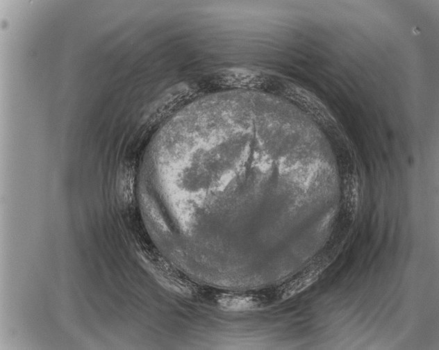 X0000085250602200703231652