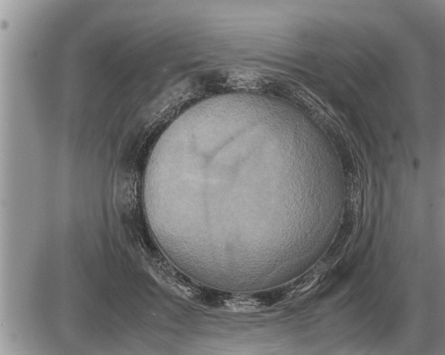 X0000085250603200703231652