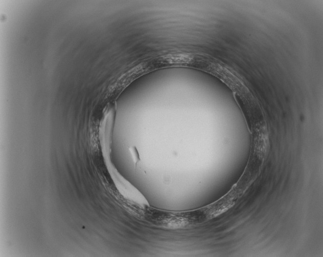 X0000085250604200703231651