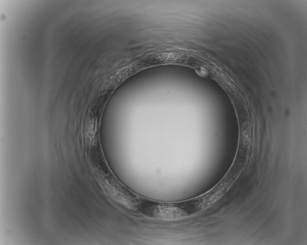 X0000085250605200703231651