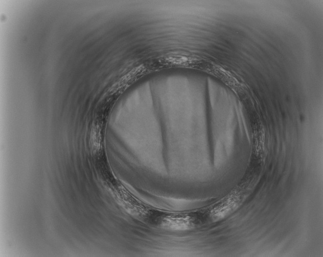 X0000085250606200703231651