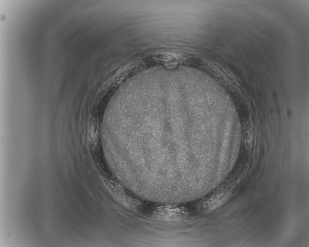 X0000085250607200703231651