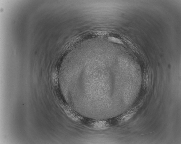 X0000085250609200703231651