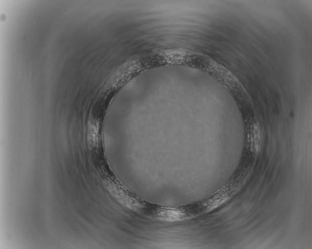 X0000085250610200703231651