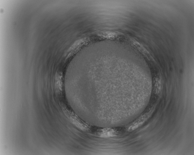 X0000085250612200703231651