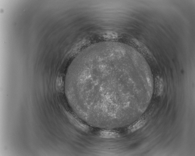 X0000085250614200703231651