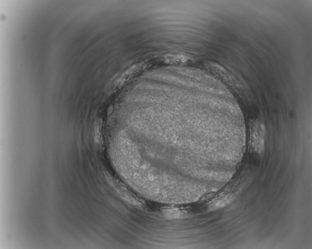 X0000085250616200703231651