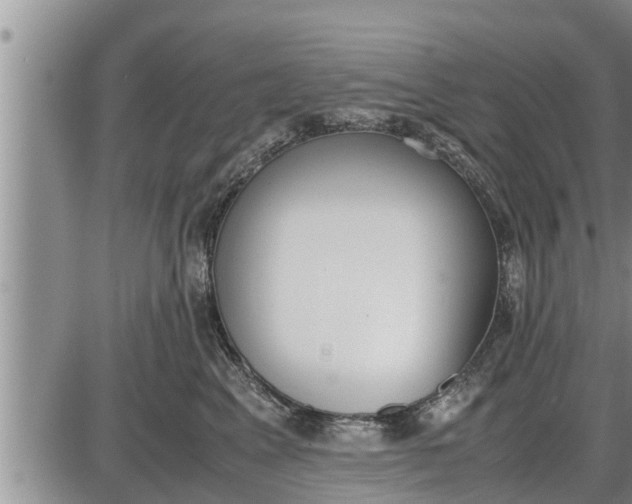 X0000085250617200703231651