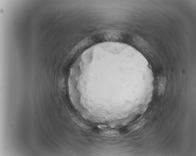 X0000085250619200703231651