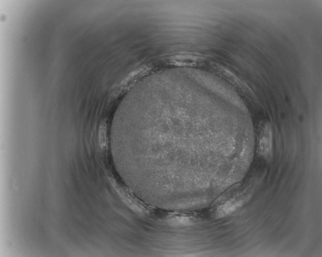 X0000085250620200703231651