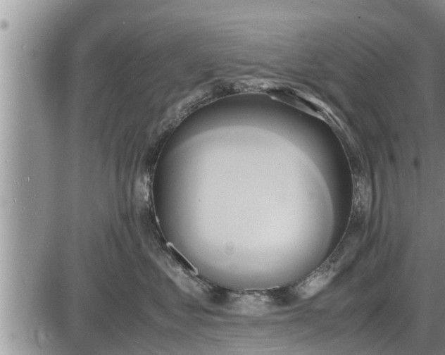 X0000085250621200703231651