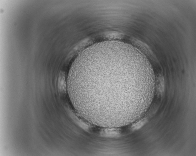 X0000085250622200703231651