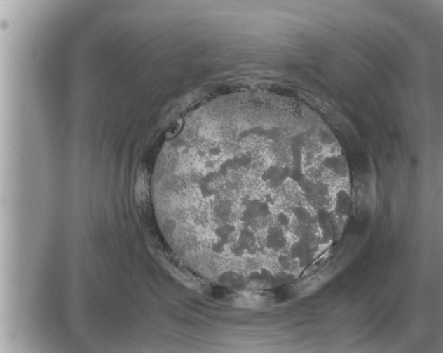 X0000085250623200703231651