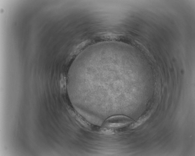 X0000085250624200703231651