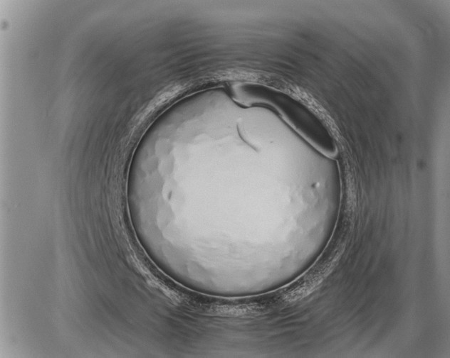 X0000085250625200703231650