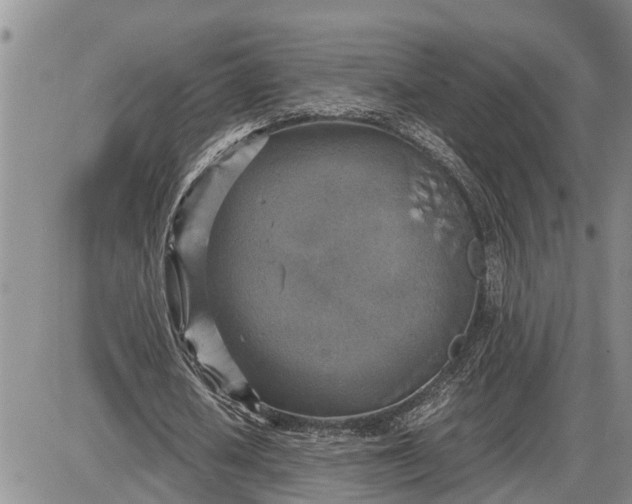 X0000085250626200703231650